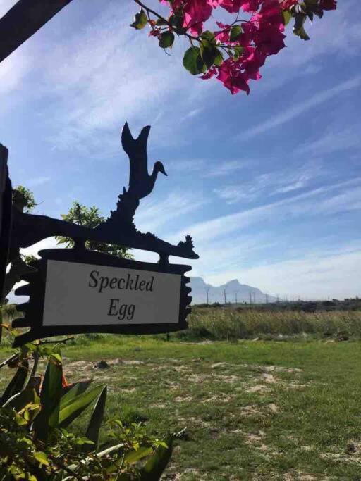 The Speckled Egg, 4 Promenade Rd, Lakeside, Kapské Město Exteriér fotografie